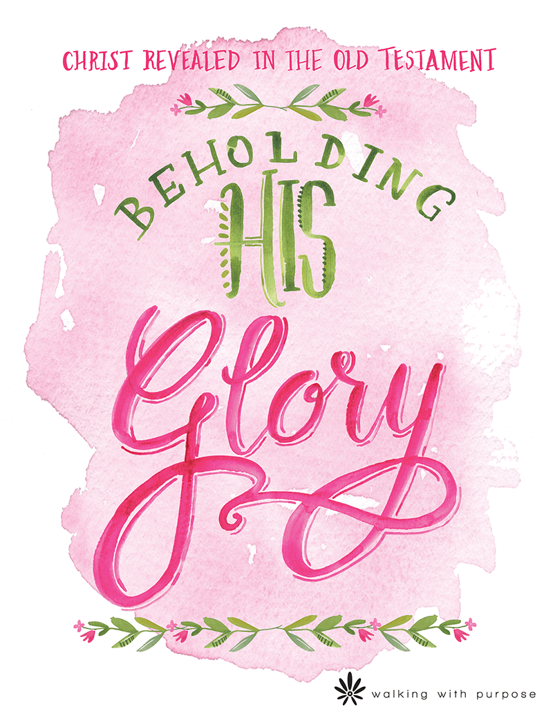 BEHOLDING HIS GLORY