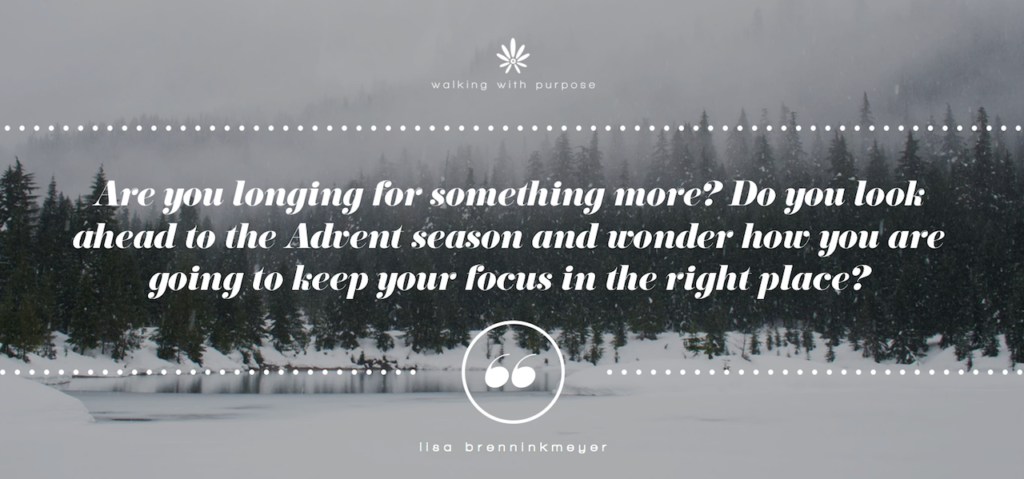 blog header for web page 2018.11.24 lisa brenninkmeyer blog post