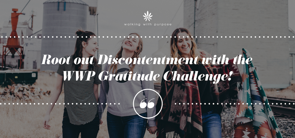 gratitude challenge blog header image gratitude challenge blog header image
